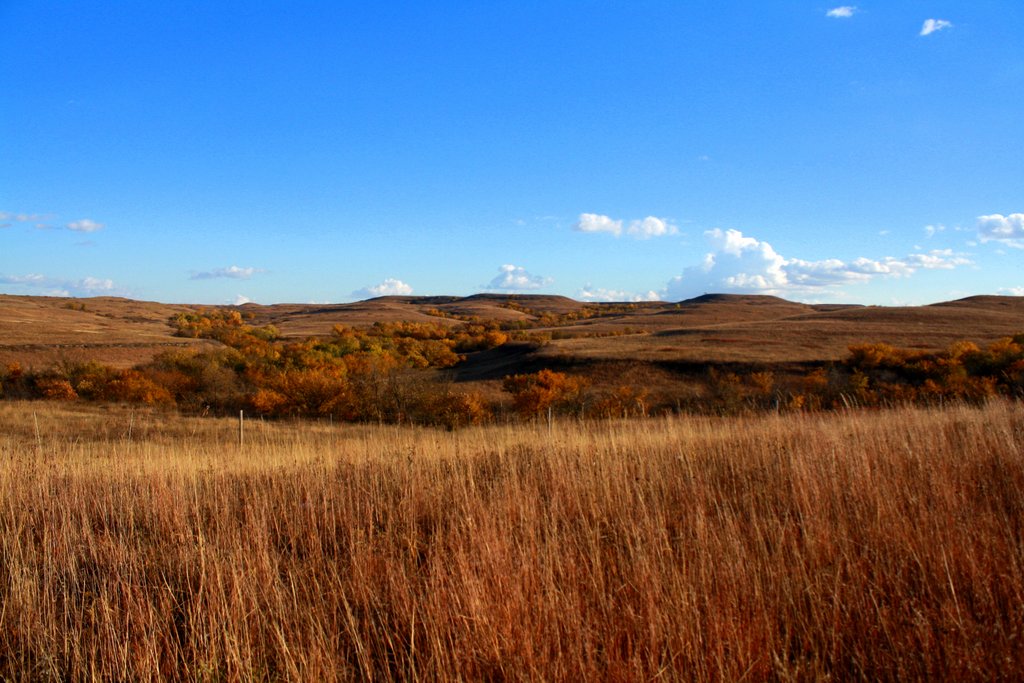 Autumn prairie
