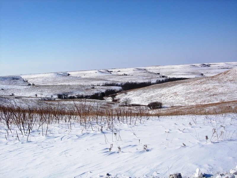 N1B winter