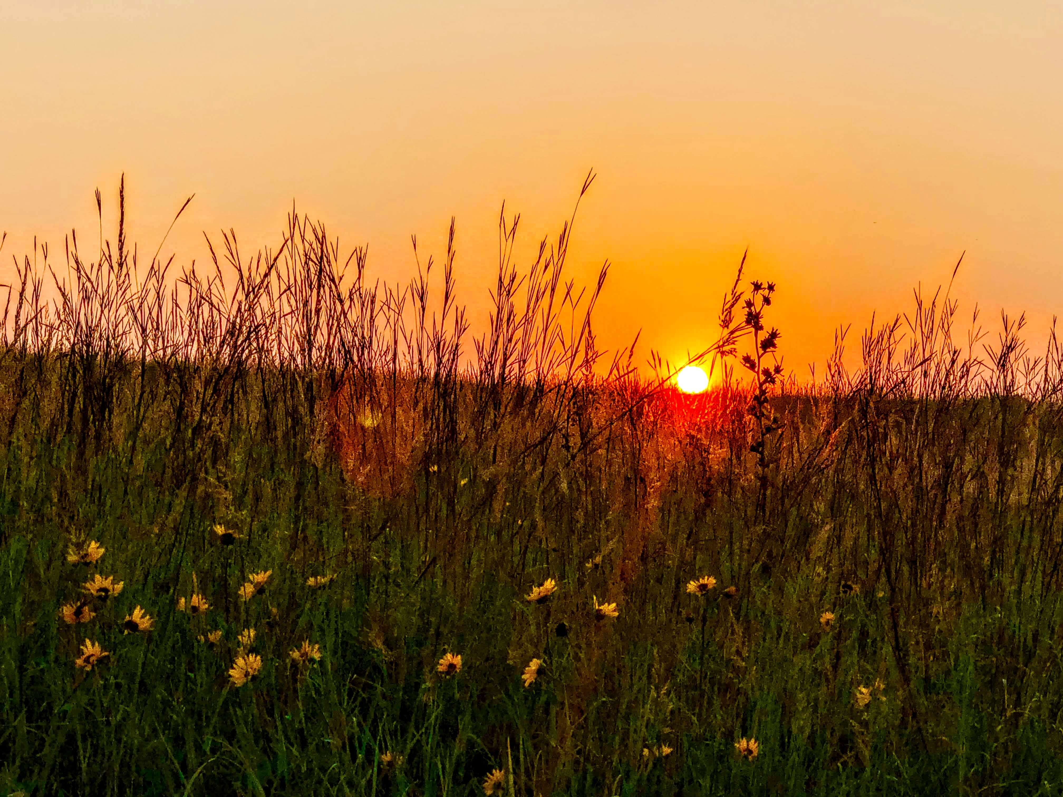 Prairie sunset - by Jill Haukos