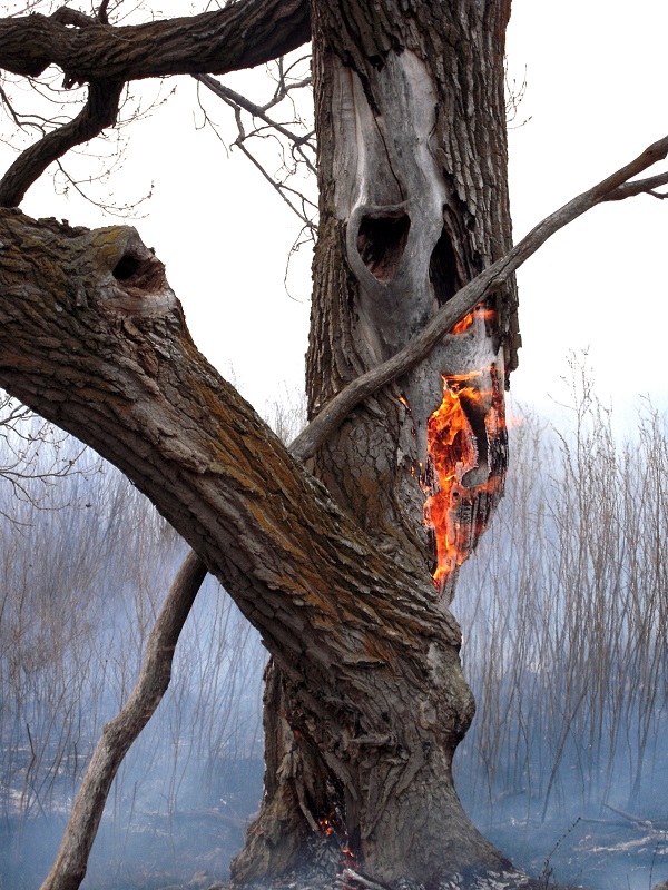 Burning at 4F Watershed