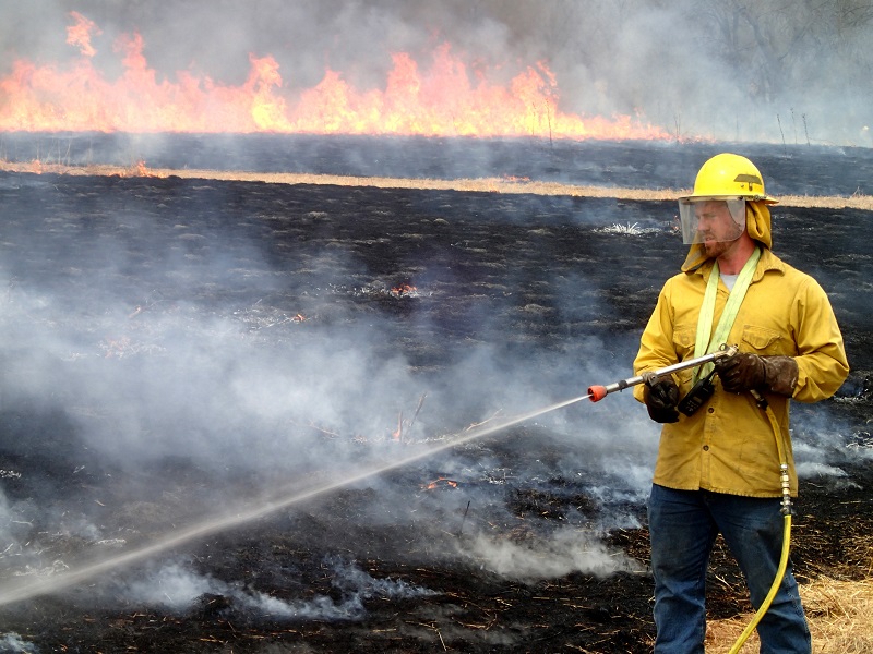 Restoration – Photo by Eva Horne