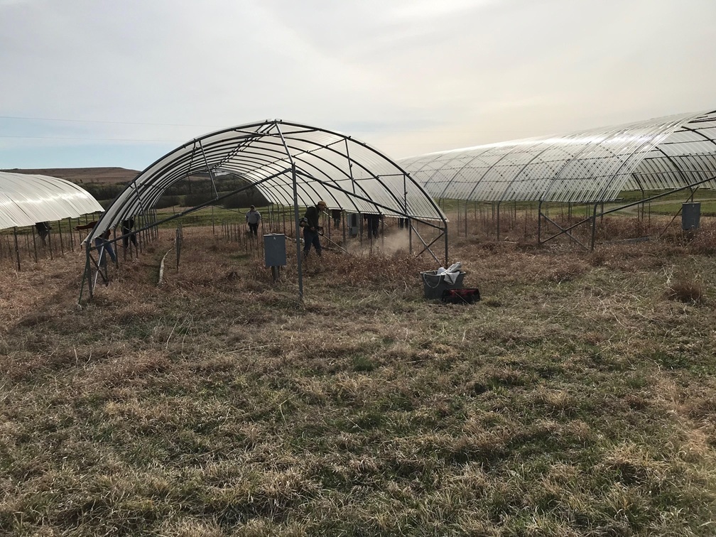 Drought Shelters - Vilonen